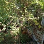 Casa à venda com 5 quartos, sendo 1 suíte, em Jardim Itália, Itapetininga, SP