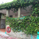 Terreno à venda com 5 quartos em Vila Dom Pedro I, São Paulo, SP