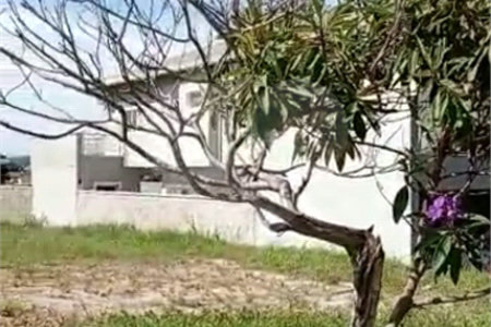 Terreno à venda com 1 suíte no condomínio Bosque dos Cambarás, Valinhos - SP