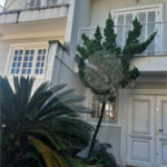 Sobrado à venda com 4 quartos, sendo 2 suítes, em Jardim Virginia Bianca, São Paulo, SP