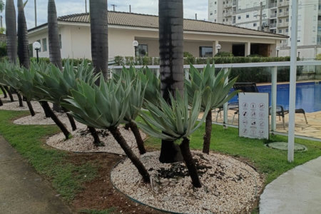 Apartamento para alugar com 2 quartos, sendo 1 suíte, em Jardim das Colinas, Hortolândia, SP