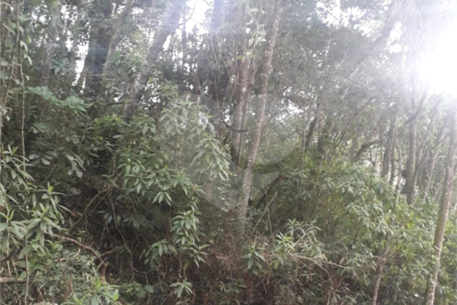 Terreno à venda em Suasalito, Mairiporã, SP