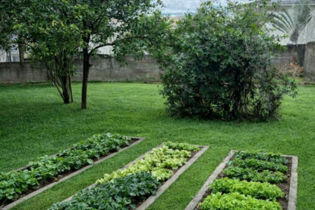 Chácara à venda com 3 quartos, sendo 1 suíte, em Bosque, Vinhedo, SP