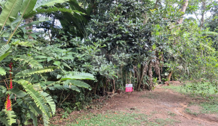 Terreno à venda em Serra da Cantareira, Mairiporã, SP