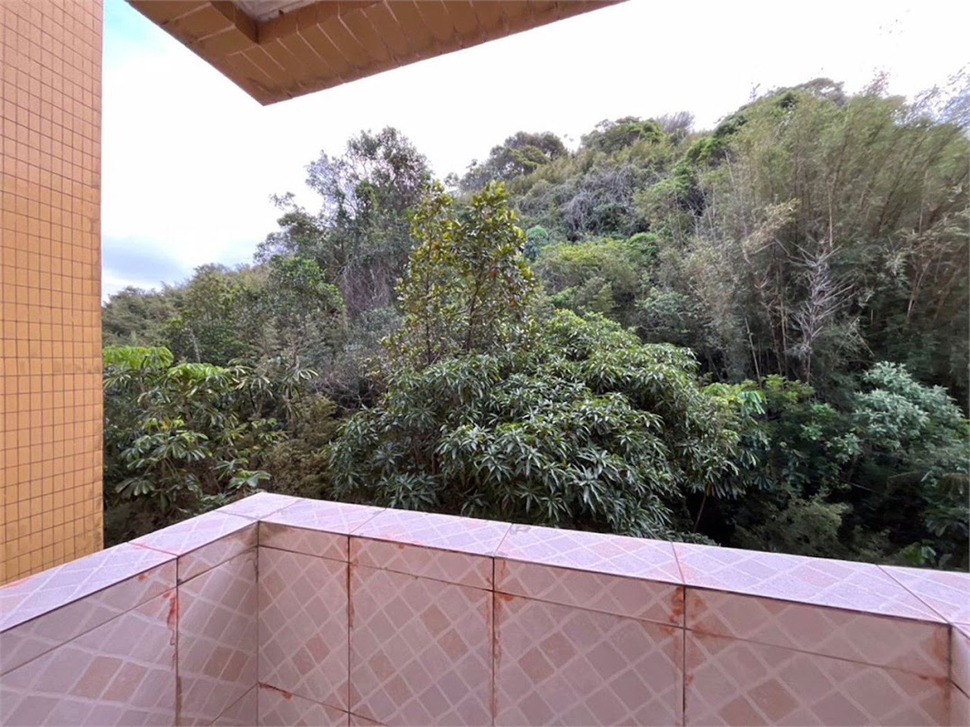 Apartamento Residencial à venda, Barra Funda, Guarujá - AP0311.