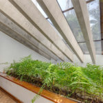 Casa à venda com 4 suítes no condomínio Granja do Morumbi, São Paulo - SP