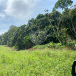 Terreno à venda com 5 quartos, sendo 4 suítes, em Vila Aparecida, Suzano, SP