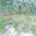 Terreno à venda em Observatório, Vinhedo, SP