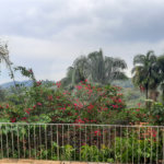 Casa à venda com 3 quartos, sendo 1 suíte,  em Serra da Cantareira, Mairiporã, SP