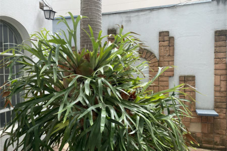 Casa à venda com 3 suítes em Jardim Leonor, São Paulo, SP