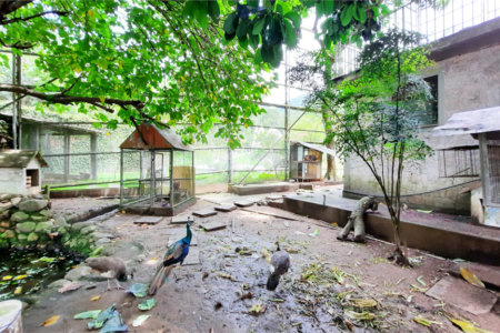 Casa à venda com 11 quartos, sendo 6 suítes, em Taquara, Rio de Janeiro, RJ