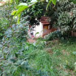 Terreno à venda com 1 quarto em Pirituba, São Paulo, SP