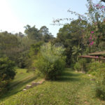 Sítio à venda em Chácara São João, Campo Limpo Paulista, SP
