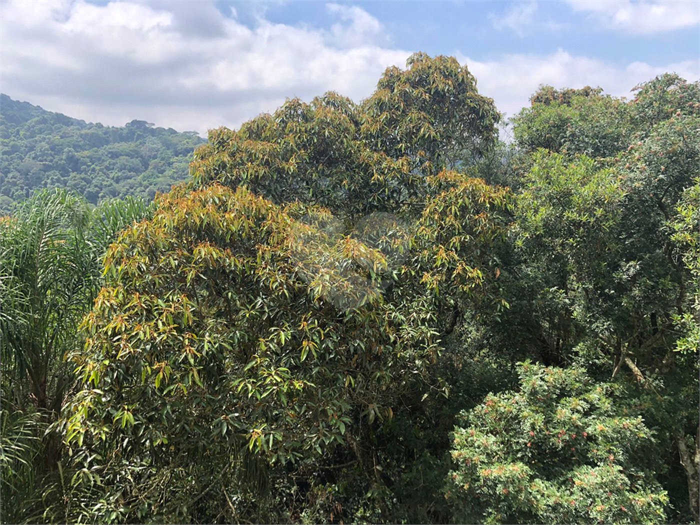 Casa à venda com 5 suítes no condomínio Alpes da Cantareira, Mairiporã - SP