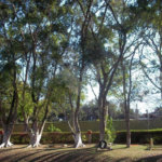 Sítio à venda com 6 quartos, sendo 3 suítes, em Parque Nova Xampirra, Itatiba, SP