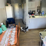 Apartamento à venda com 3 quartos, sendo 1 suíte, em Santana, São Paulo, SP