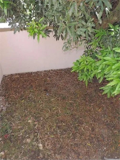 Sobrado à venda com 4 quartos em Vila Ipojuca, São Paulo, SP