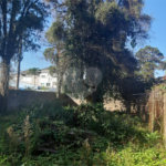 Terreno à venda em Vila Gustavo, São Paulo, SP