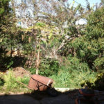 Terreno à venda em Tremembé, São Paulo, SP