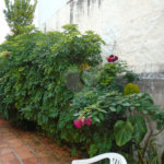 Casa Térrea à venda com 3 quartos em Campo Belo, São Paulo, SP