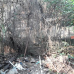 Sobrado à venda com 2 quartos em Jaçanã, São Paulo, SP
