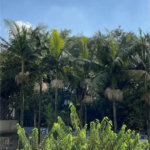 Apartamento à venda com 3 quartos, sendo 1 suíte, em Jardim Colombo, São Paulo, SP