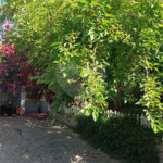 Casa Térrea à venda com 3 quartos, sendo 1 suíte, em Jundiaizinho (terra Preta), Mairiporã, SP