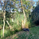 Terreno à venda no condomínio Alpes da Cantareira, Mairiporã - SP