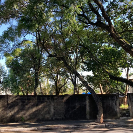 Terreno à venda em Vila Tramontano, São Paulo, SP