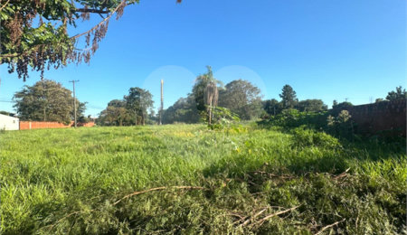 Terreno à venda em Pedro Juan Caballero, Amambay