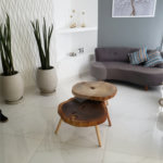 Apartamento à venda com 2 quartos em Vila Guilherme, São Paulo, SP