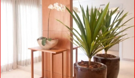 Apartamento à venda com 2 suítes em Jardim Monte Kemel, São Paulo, SP