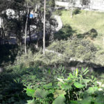 Terreno à venda ou para alugar em Vila Andrade, São Paulo, SP
