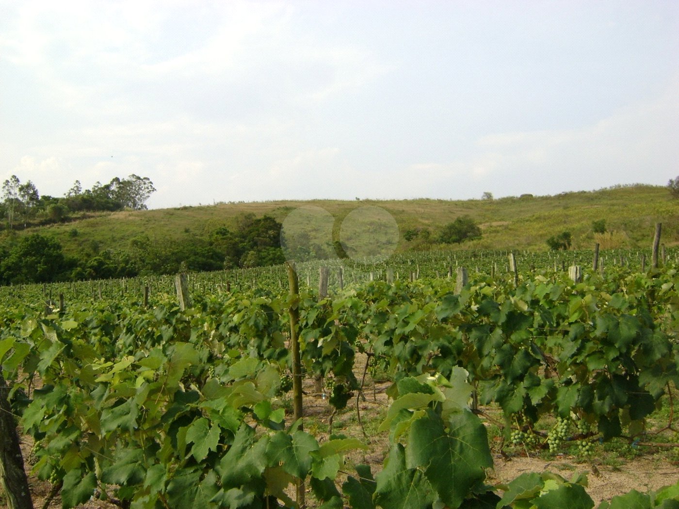 Área de Terra à venda em Colinas do Mosteiro de Itaici, Indaiatuba, SP