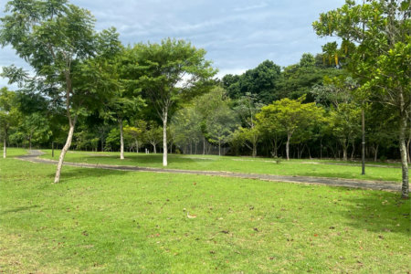 Casa à venda com 3 suítes no condomínio Campos do Conde Ii, Paulínia - SP