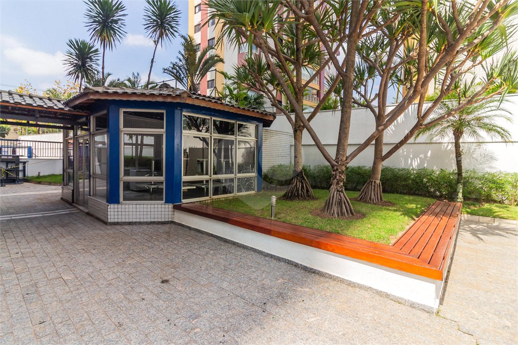 Apartamento à venda com 3 quartos, sendo 1 suíte, em Cambuci, São Paulo, SP