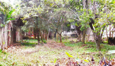 Terreno à venda em Alto da Boa Vista, São Paulo, SP