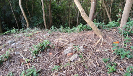 Terreno à venda no condomínio Jardim da Montanha I, Mairiporã - SP