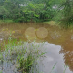 Terreno à venda em Vila Moraes, Mogi das Cruzes, SP