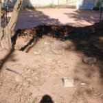 Terreno à venda em Vila Nova Trieste, Jarinu, SP