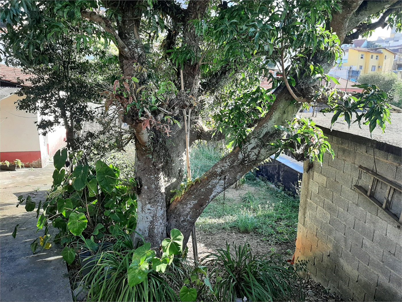 Terreno à venda em Vila Mazzei, São Paulo, SP