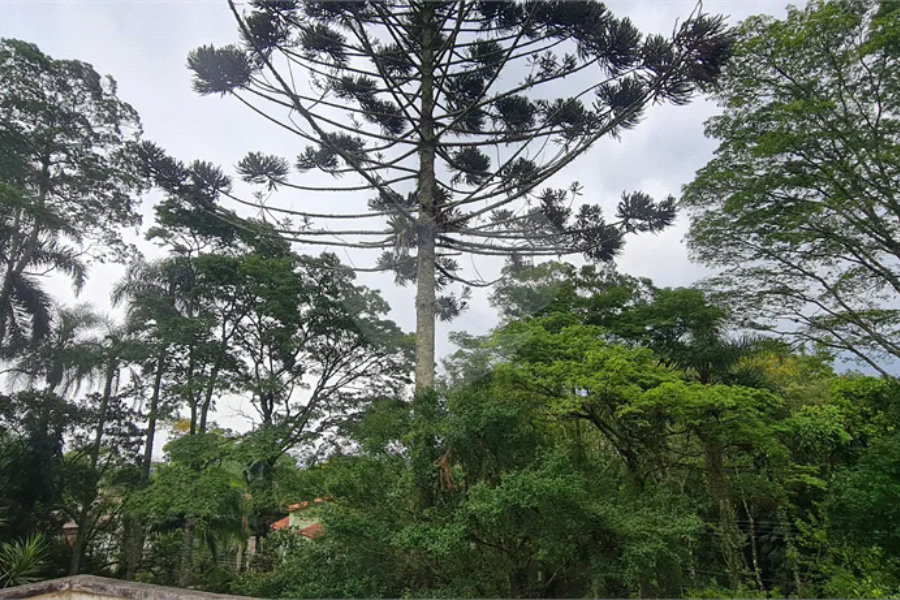 Casa à venda com 4 suítes no condomínio Jardim da Montanha I, Mairiporã - SP