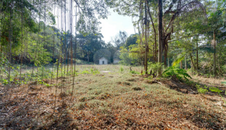 Casa à venda com 1 quarto no condomínio Chácara Flora, São Paulo - SP