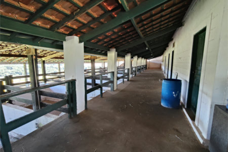 Fazenda para alugar com 3 quartos em Vila Santana, Itapetininga, SP