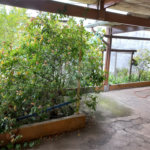 Casa Térrea à venda com 1 quarto em Vila Nivi, São Paulo, SP