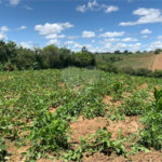 Área de Terra à venda em Cristóvão, Araçoiaba da Serra, SP