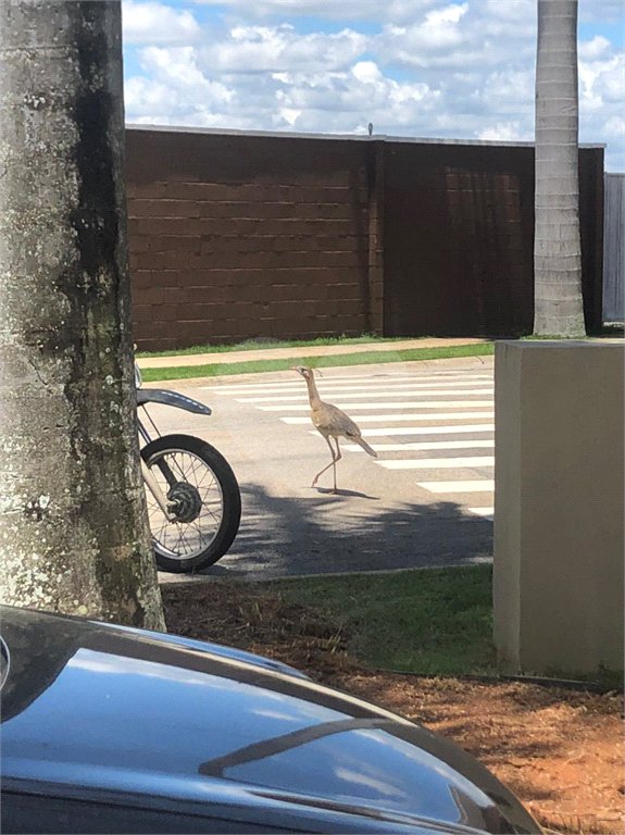 Terreno à venda no condomínio Fazenda Jequitibá, Sorocaba - SP