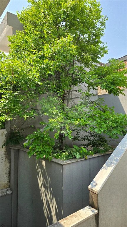 Sobrado à venda com 3 quartos, sendo 1 suíte, em Pirituba, São Paulo, SP