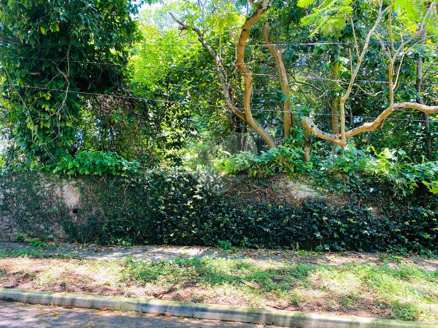 Terreno à venda em Interlagos, São Paulo, SP
