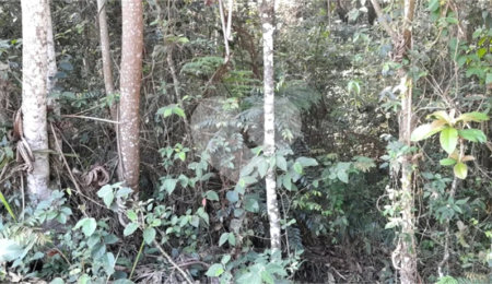 Terreno à venda em Roseira, Mairiporã, SP
